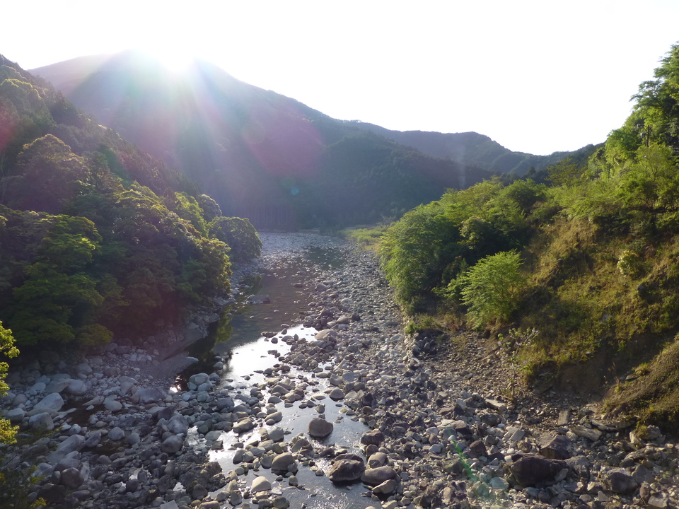 P1040583_mid.jpg