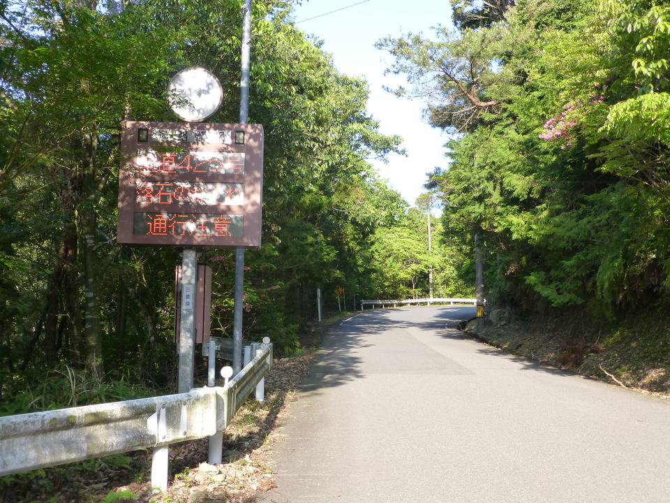 P1040588_mid.jpg