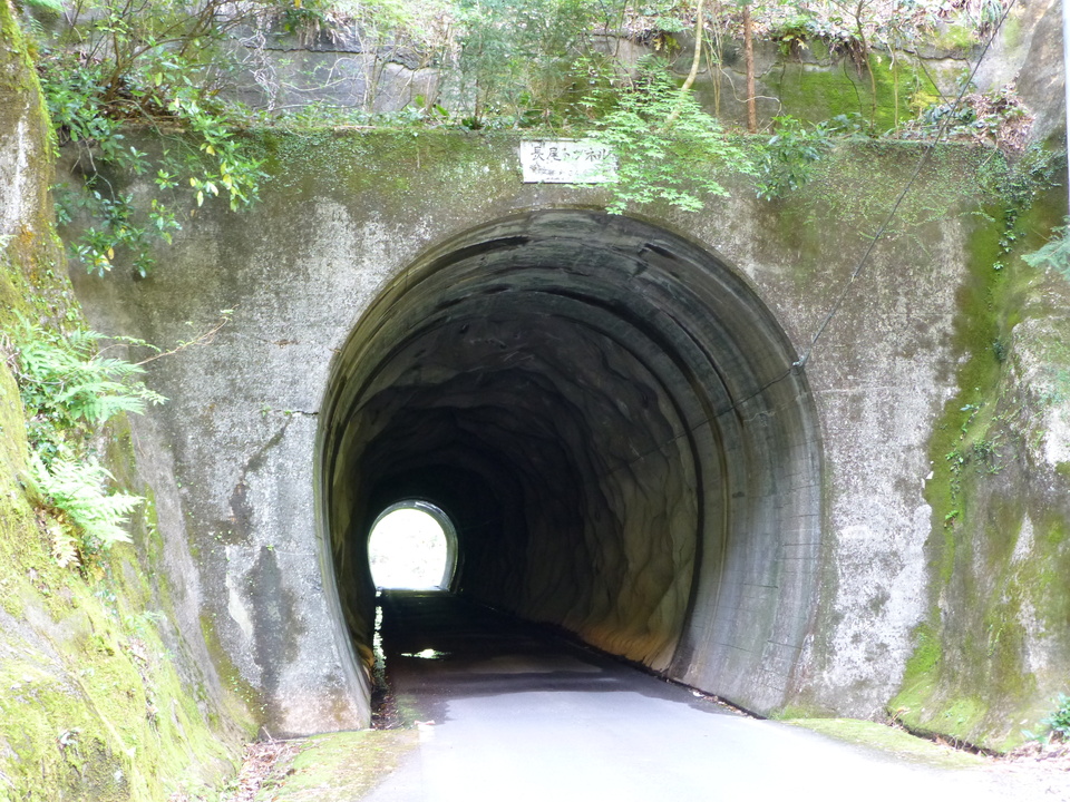 P1040608_mid.jpg