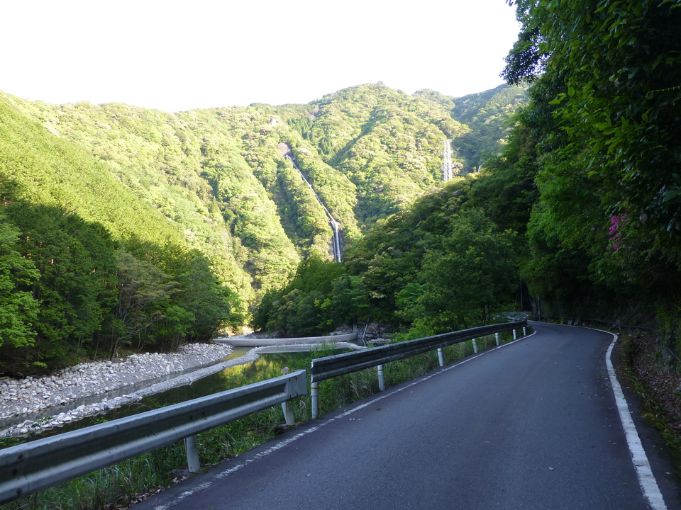 P1040613_mid.jpg