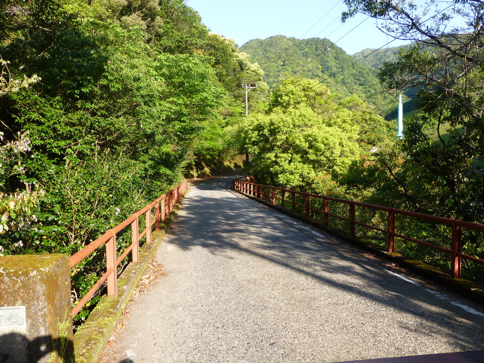 P1040627_mid.jpg