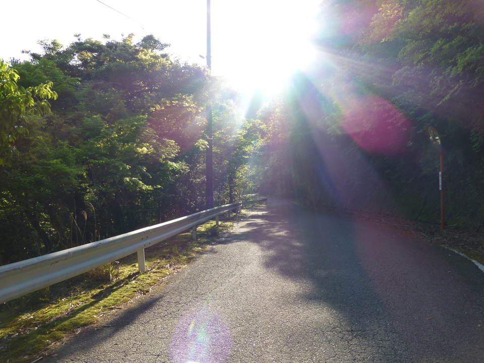 P1040628_mid.jpg