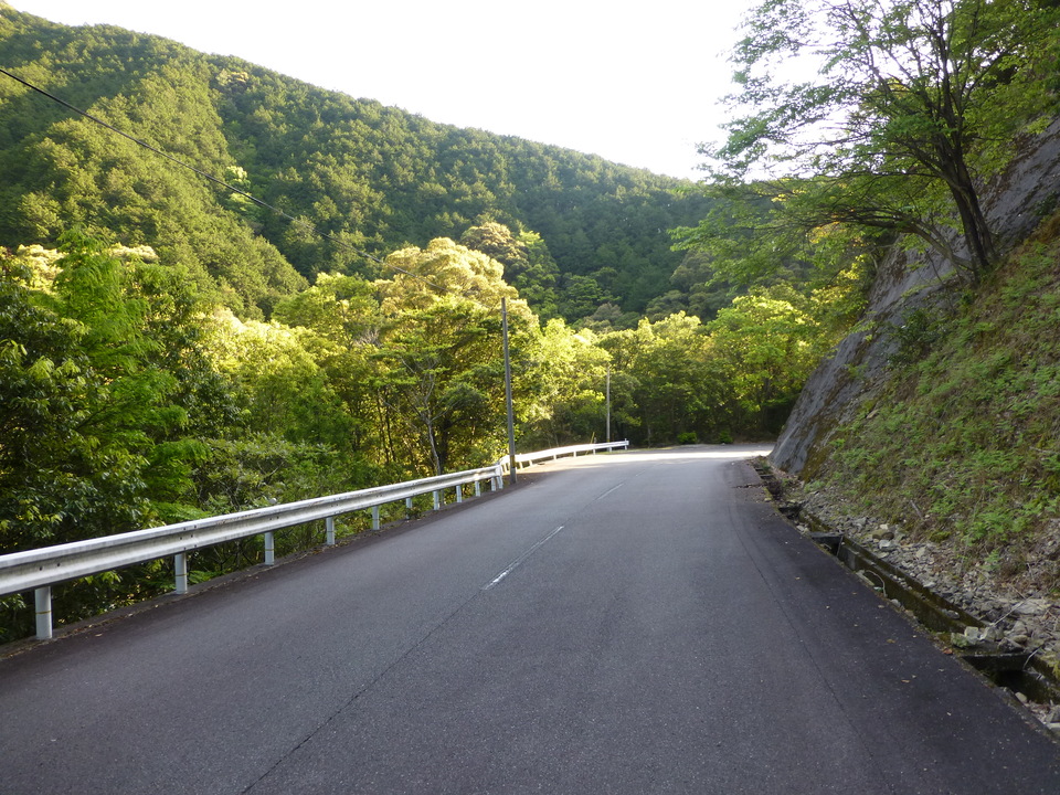 P1040637_mid.jpg