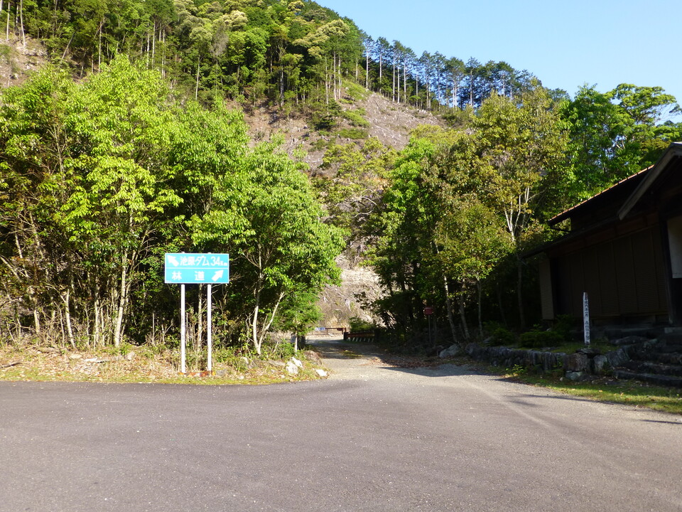 P1040641_mid.jpg