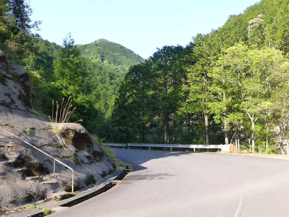 P1040642_mid.jpg