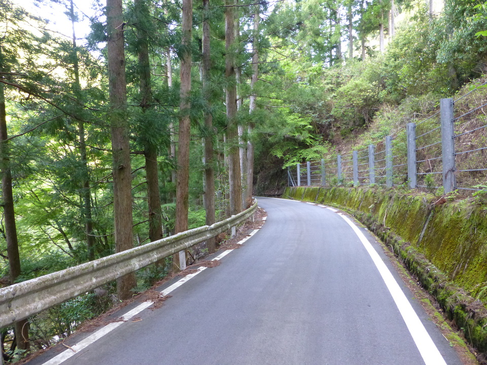 P1040654_mid.jpg