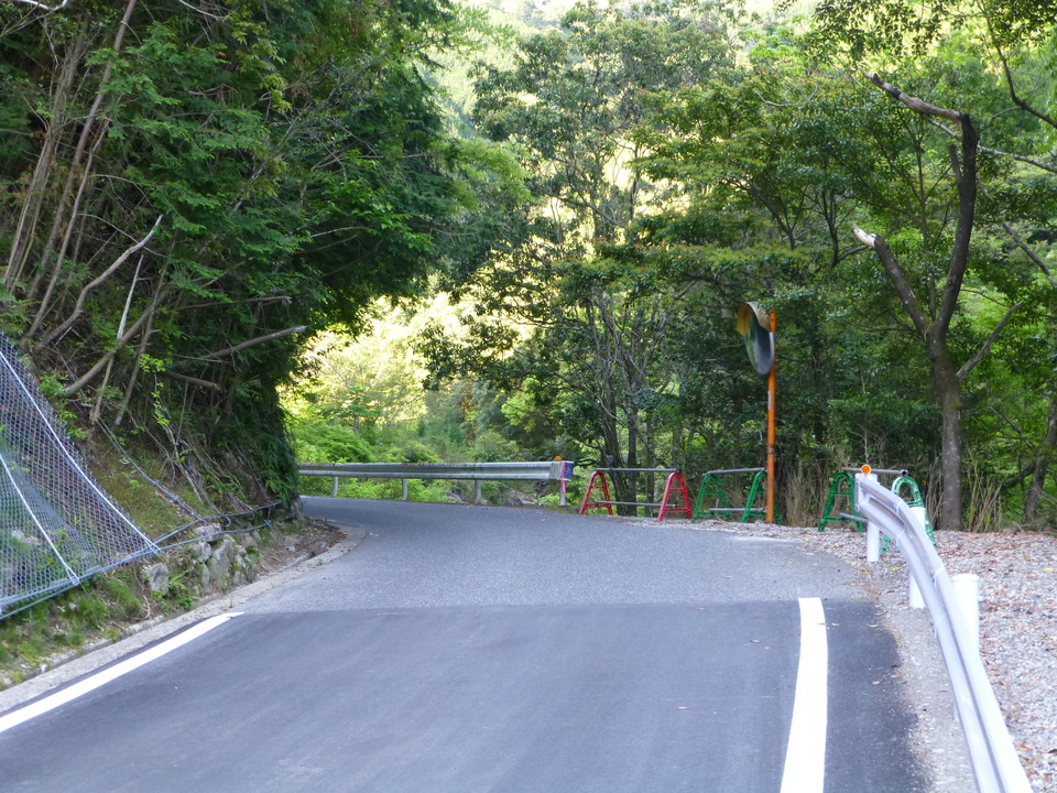 P1040673_mid.jpg