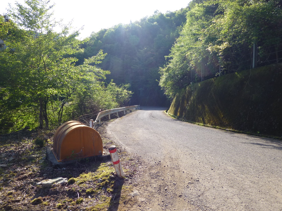 P1040704_mid.jpg
