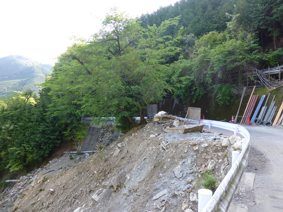 P1040713_mid.jpg