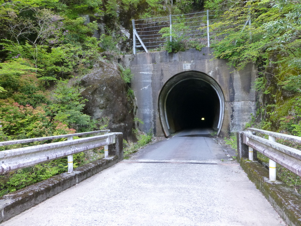 P1040724_mid.jpg