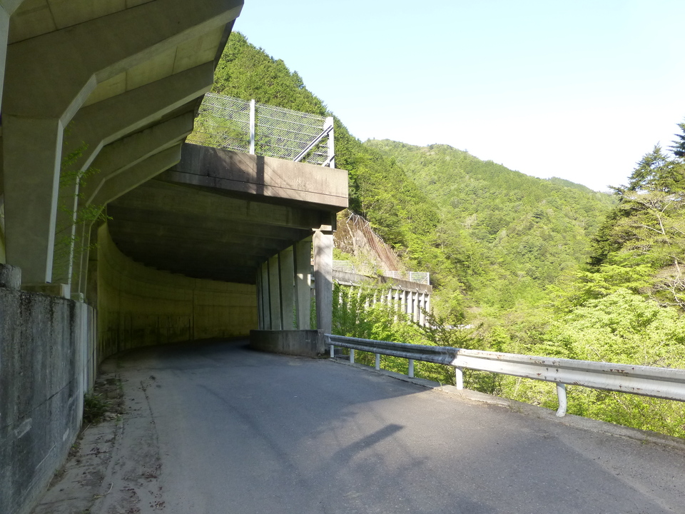 P1040725_mid.jpg