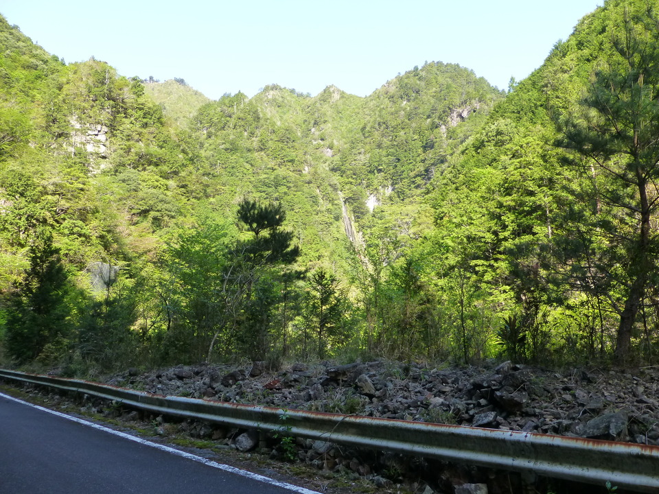 P1040749_mid.jpg