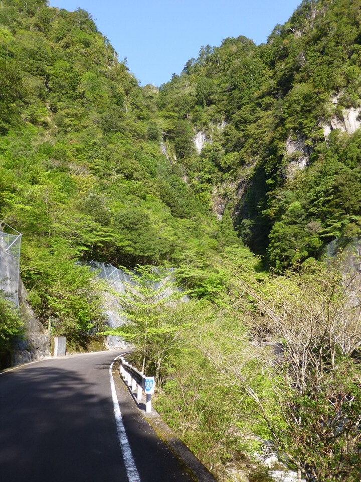 P1040758_mid.jpg