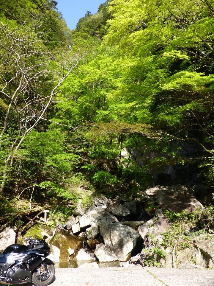 P1040766_mid.jpg
