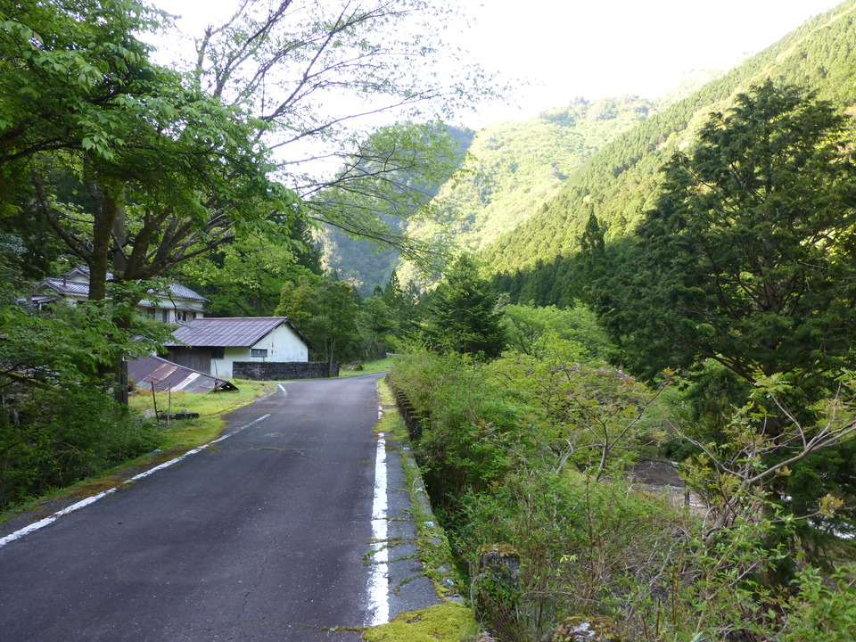P1040775_mid.jpg