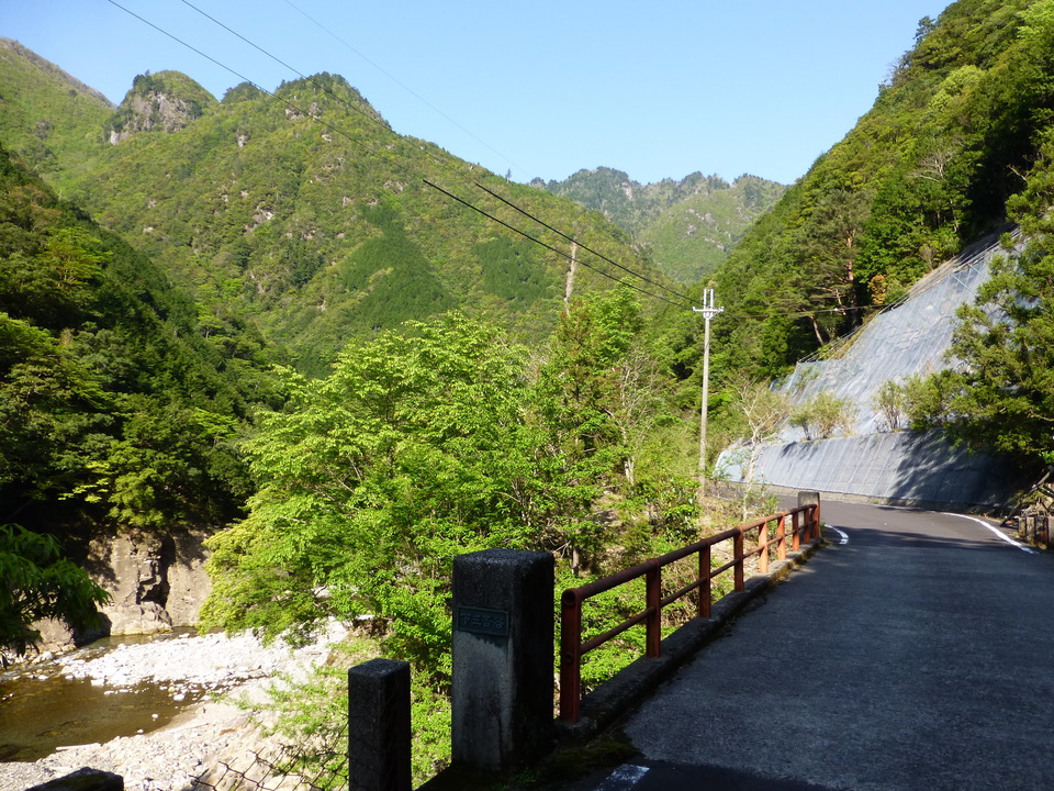 P1040778_mid.jpg