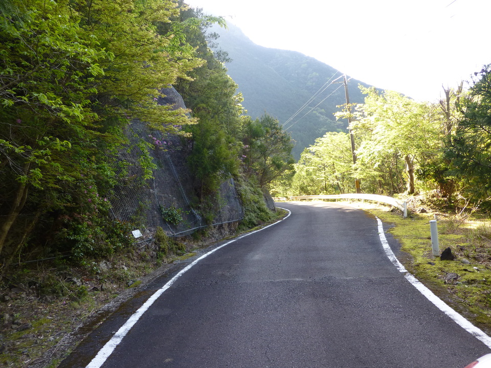 P1040779_mid.jpg