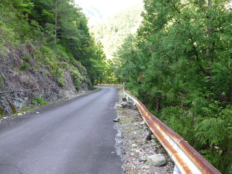 P1040781_mid.jpg
