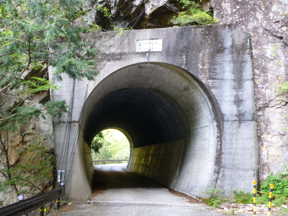 P1040785_mid.jpg