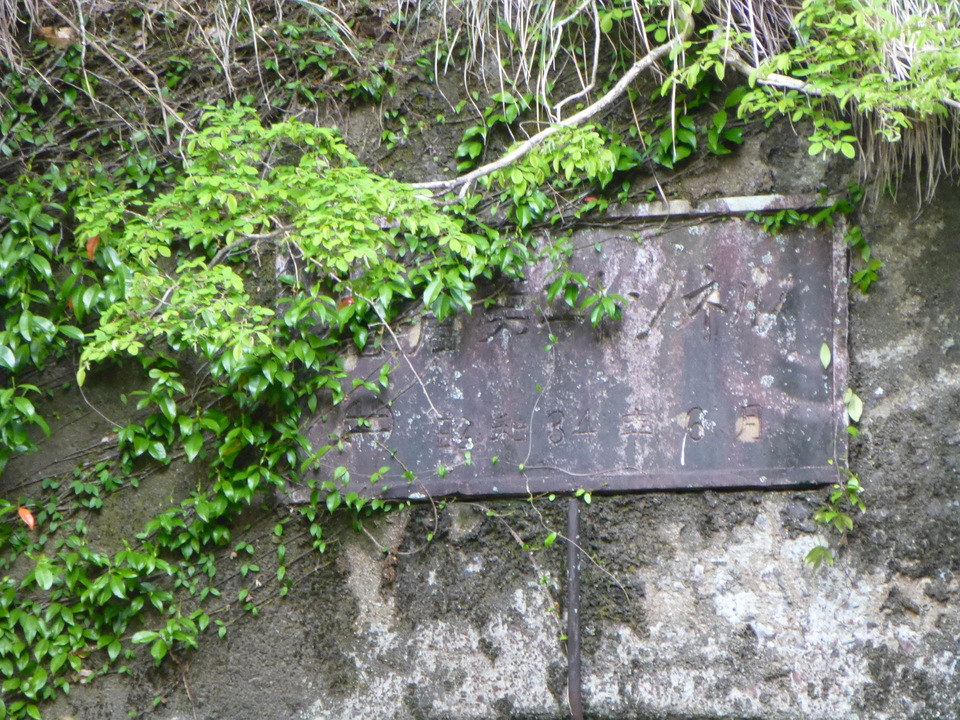 P1040789_mid.jpg