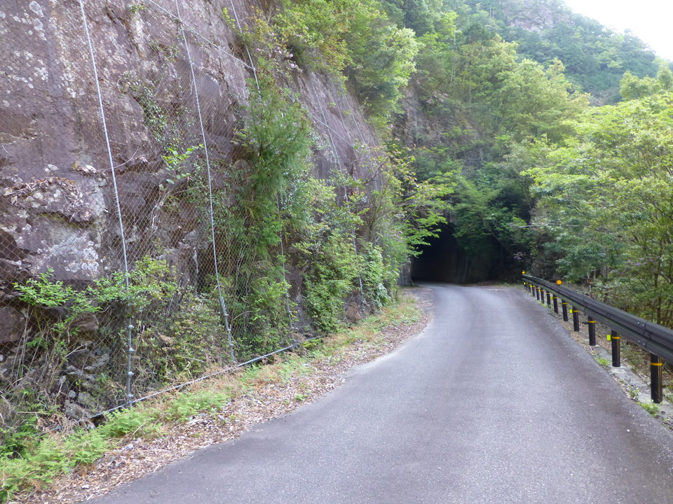 P1040791_mid.jpg