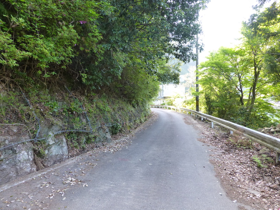 P1040819_mid.jpg