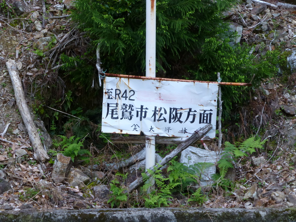 P1040824_mid.jpg