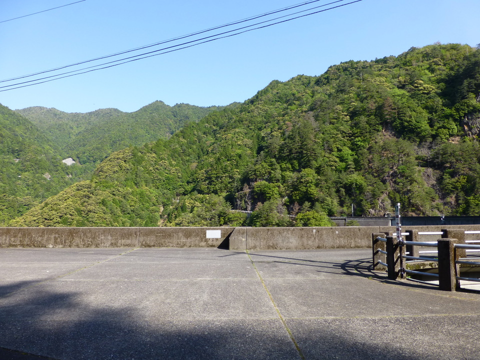 P1040859_mid.jpg