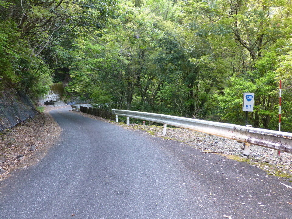 P1040861_mid.jpg