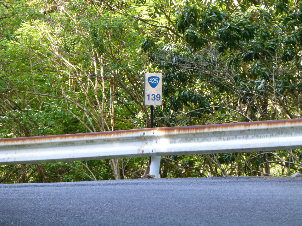 P1040881_mid.jpg