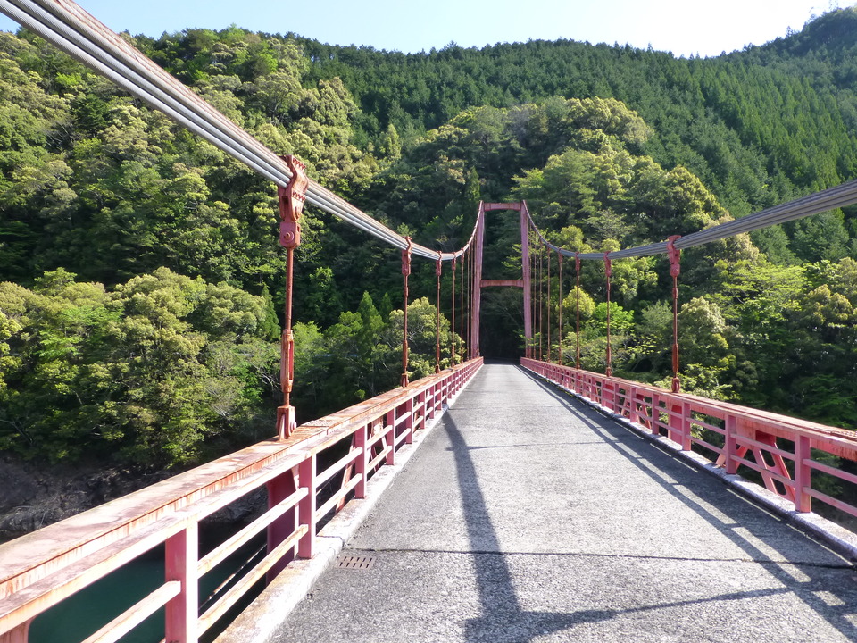P1040891_mid.jpg