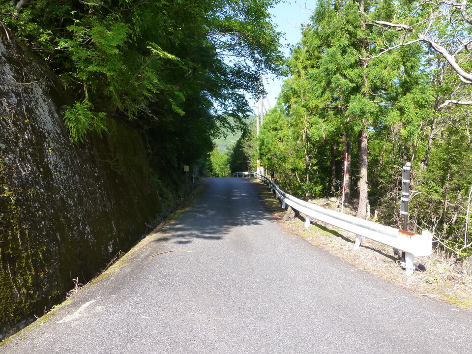 P1040896_mid.jpg