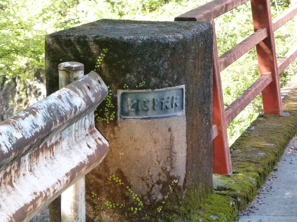 P1040928_mid.jpg