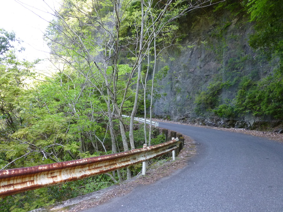 P1040930_mid.jpg