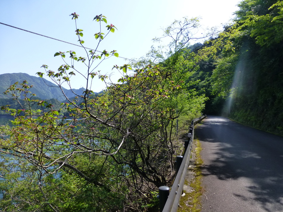 P1040938_mid.jpg
