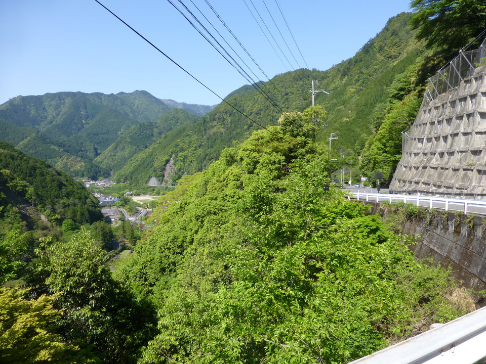 P1040966_mid.jpg