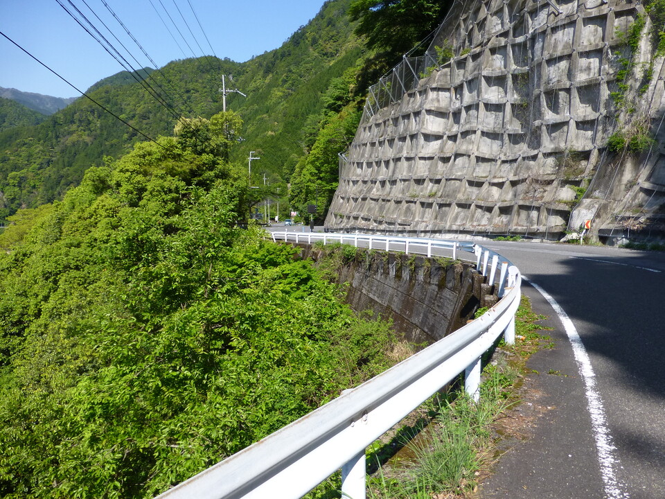 P1040967_mid.jpg