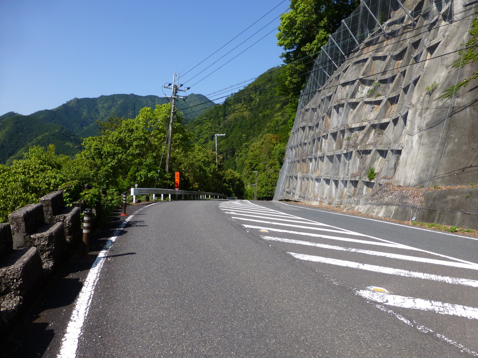 P1040971_mid.jpg