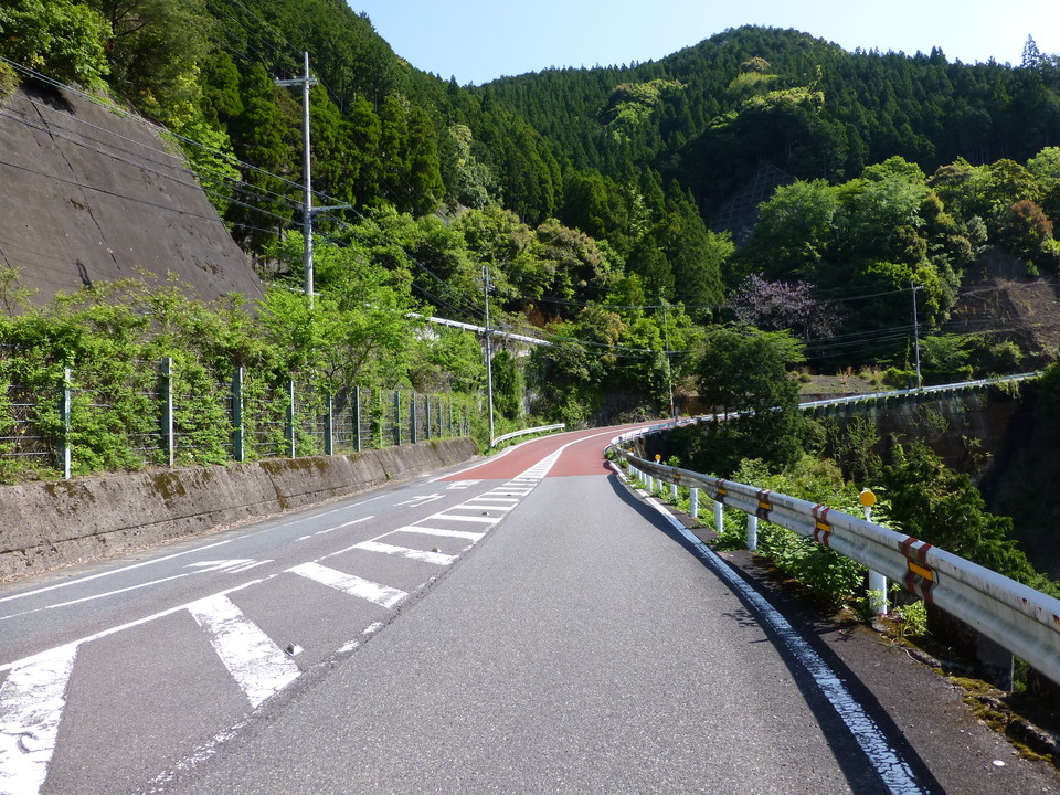 P1040972_mid.jpg