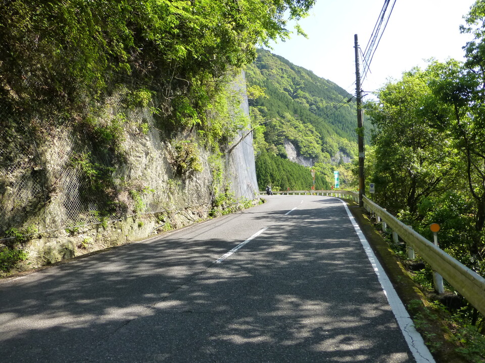 P1040974_mid.jpg