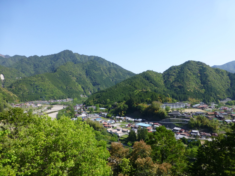 P1040988_mid.jpg