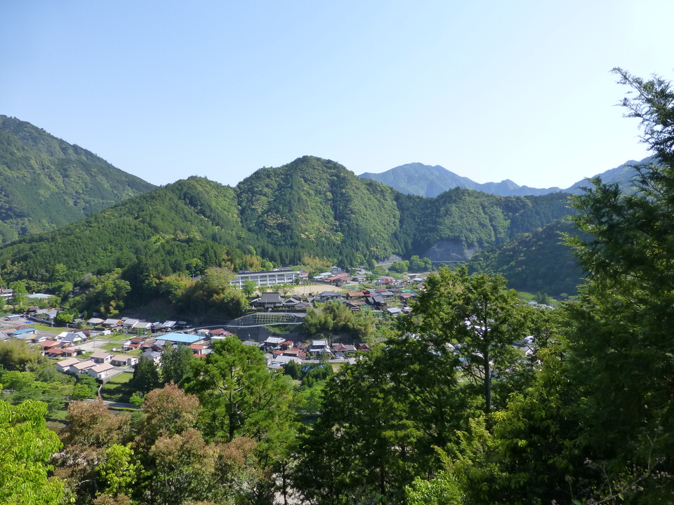 P1040989_mid.jpg