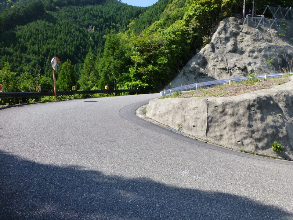 P1040991_mid.jpg