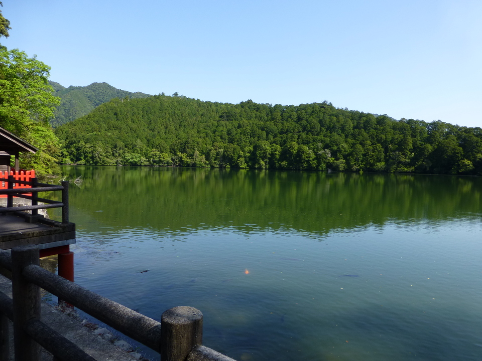 P1040996_mid.jpg