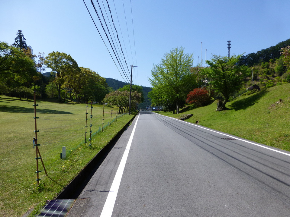 P1050001_mid.jpg
