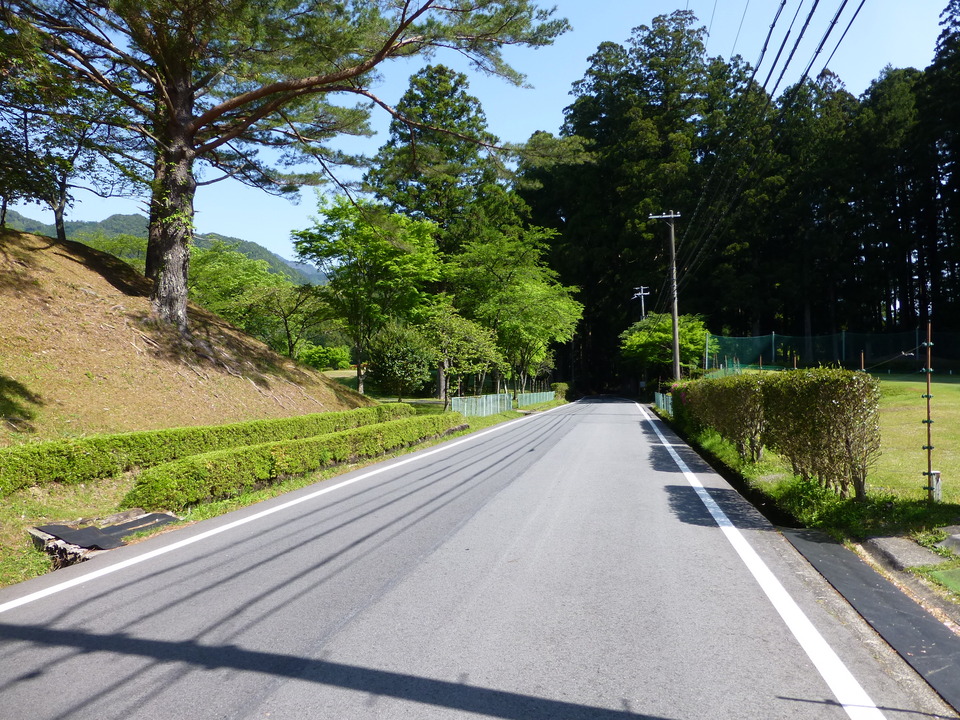 P1050002_mid.jpg