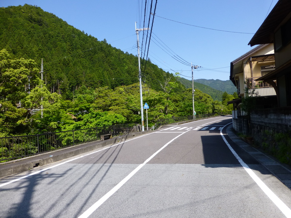 P1050019_mid.jpg