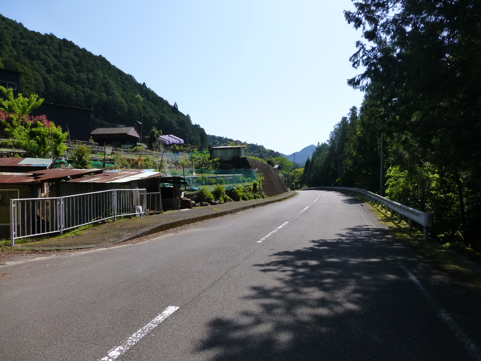 P1050023_mid.jpg