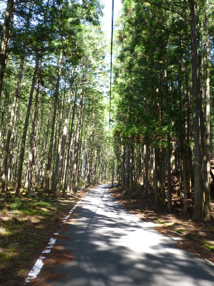 P1050028_mid.jpg