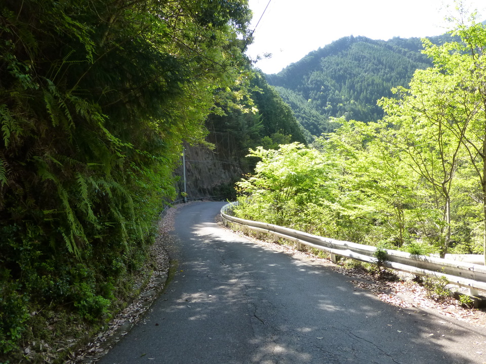 P1050033_mid.jpg
